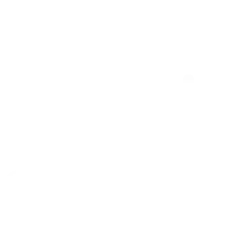 Prawo pracy Mateusz Miłek